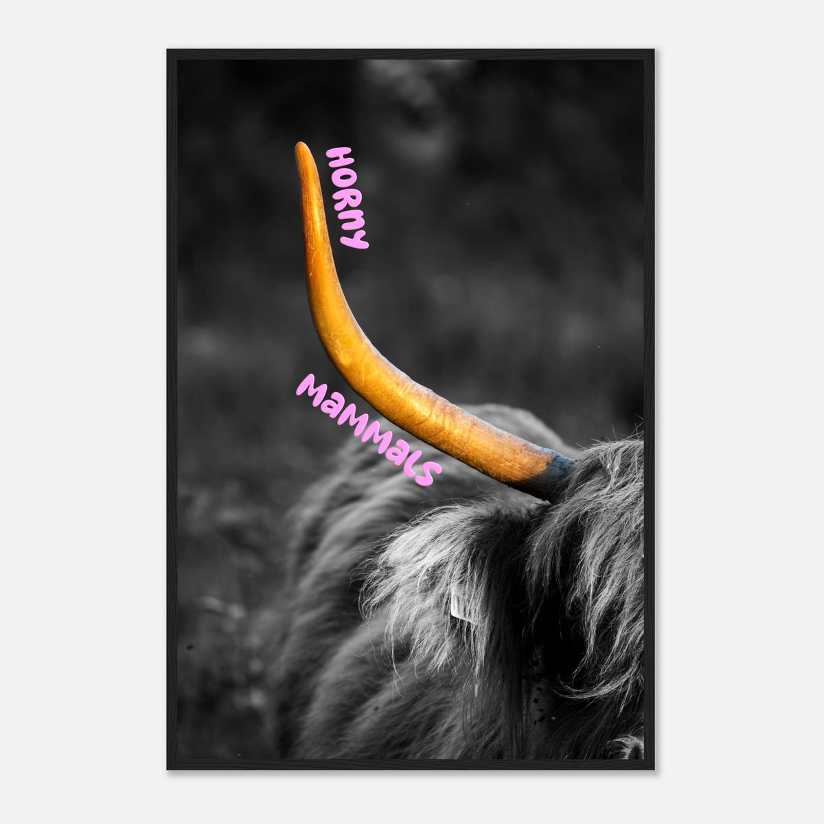 HORNY mammals