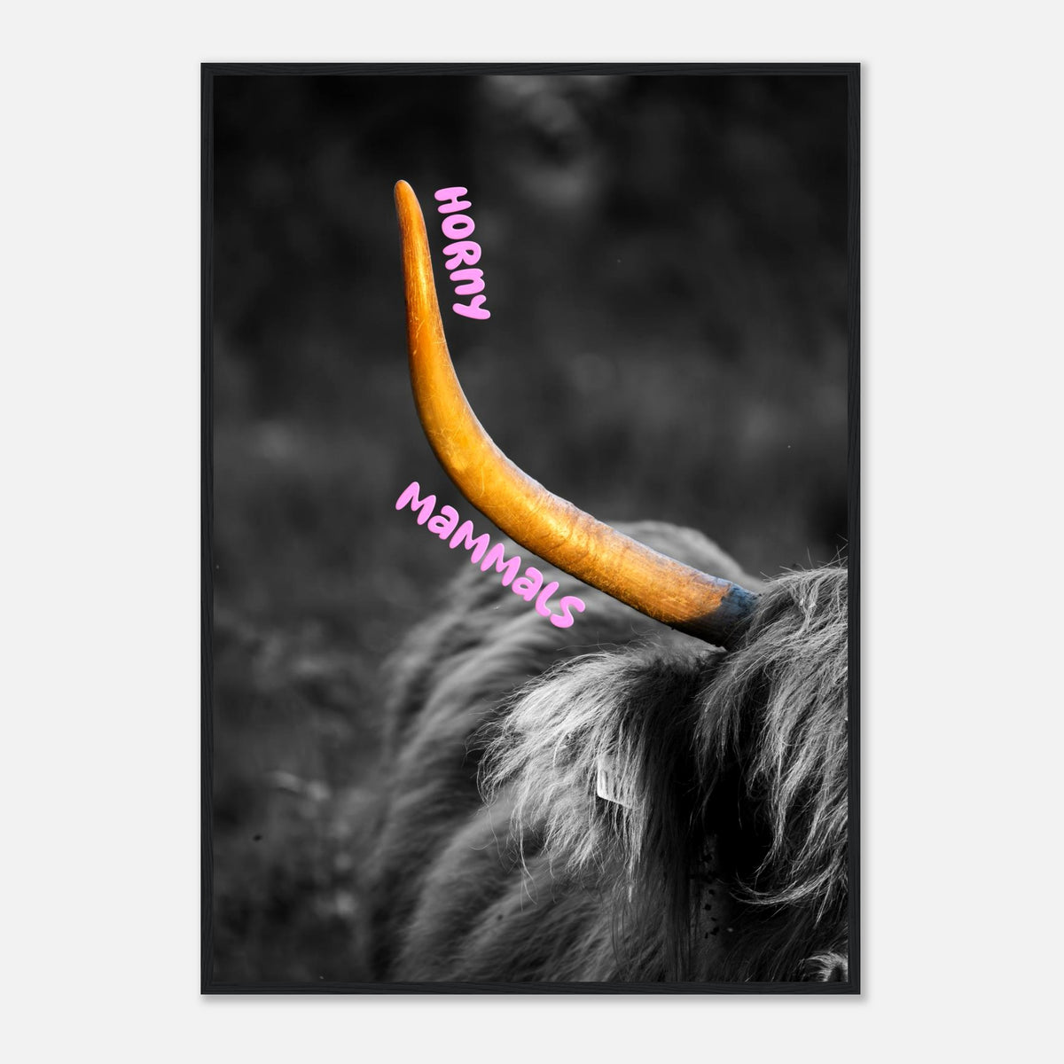 HORNY mammals