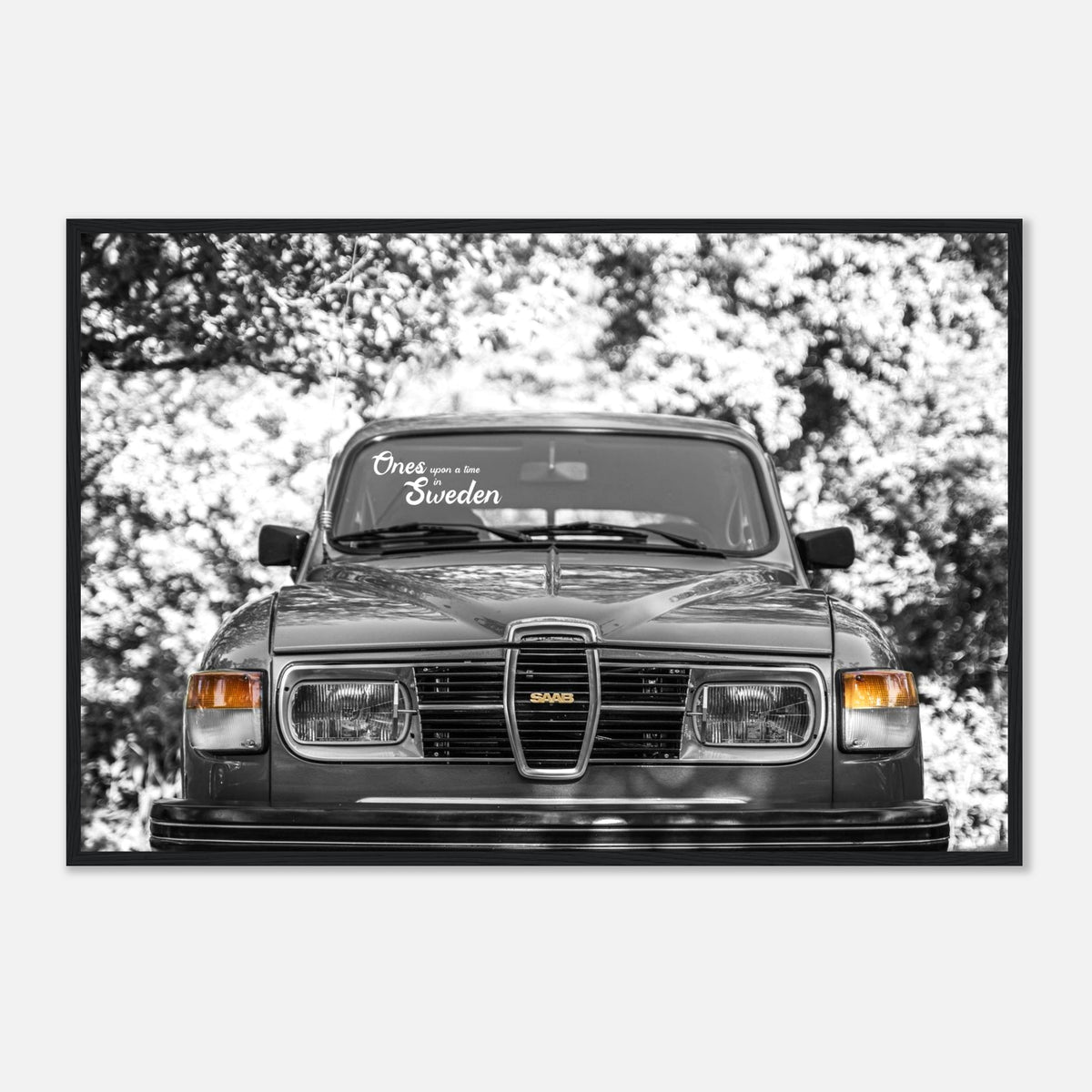 The SAAB