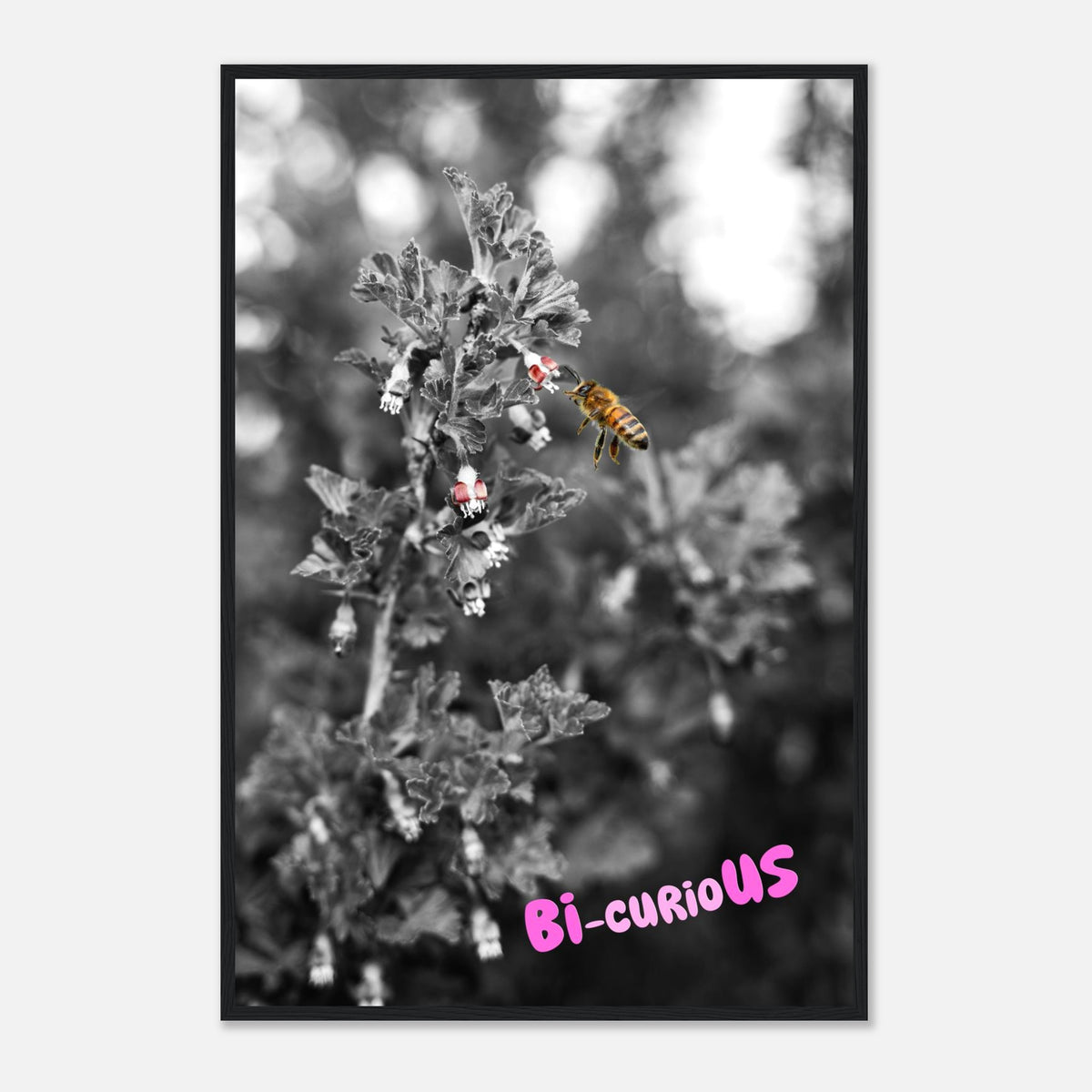 Bi-curioUS