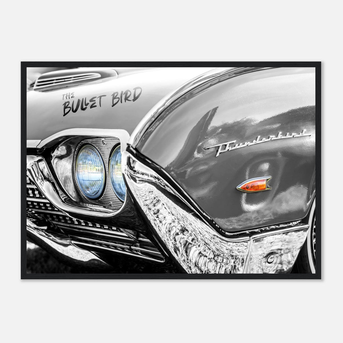 Bullet BIRD