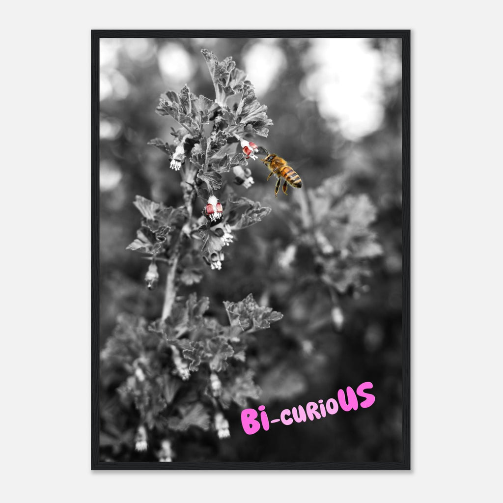 Bi-curioUS