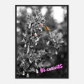 Bi-curioUS