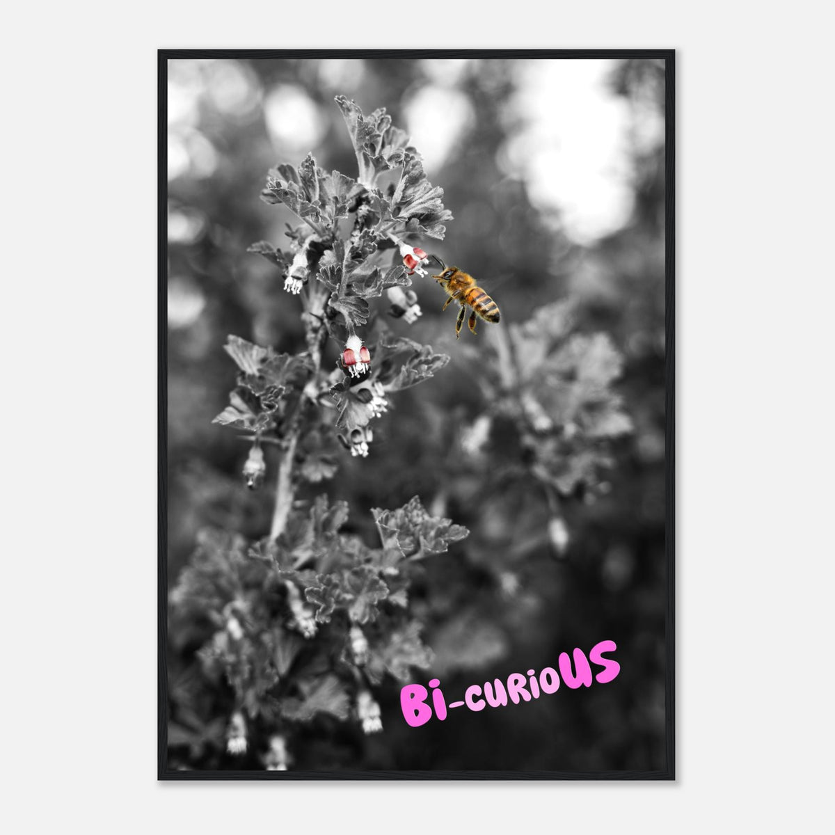Bi-curioUS
