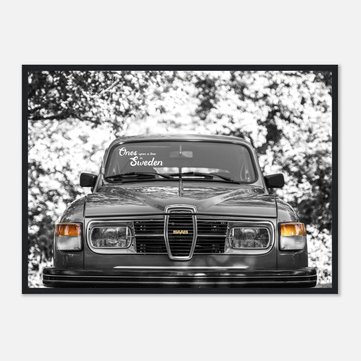 The SAAB