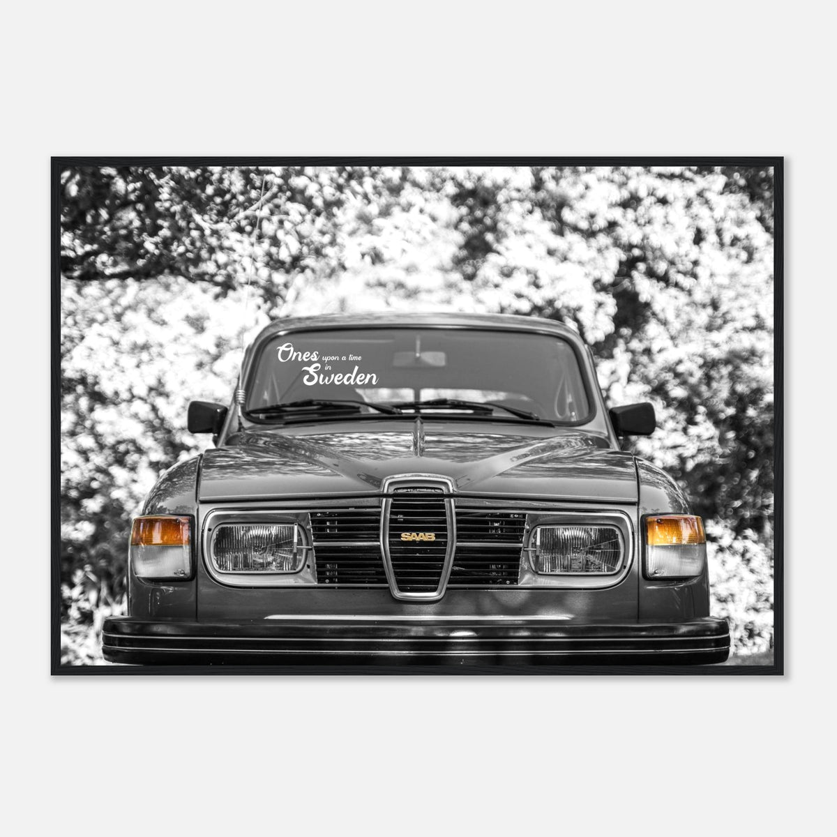 The SAAB